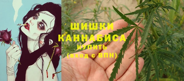 кристаллы Новозыбков